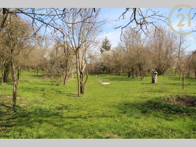 Obrázek k zakázce č.: 128681